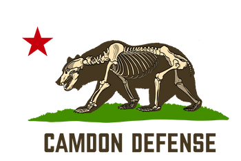 Camdon Defense