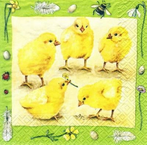 Pack of 20 Paper Napkins, Baby Chicks with Ladybug and Bees border Pack of 20 Paper Napkins, Baby Chicks with Ladybug and Bees border