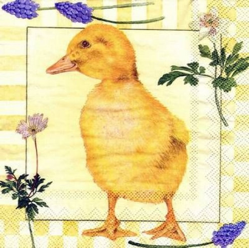 Vintage Style Napkin featuring Duckling with Flower Border, 20 pcs, yellow Vintage Style Napkin featuring Duckling with Flower Border, 20 pcs, yellow