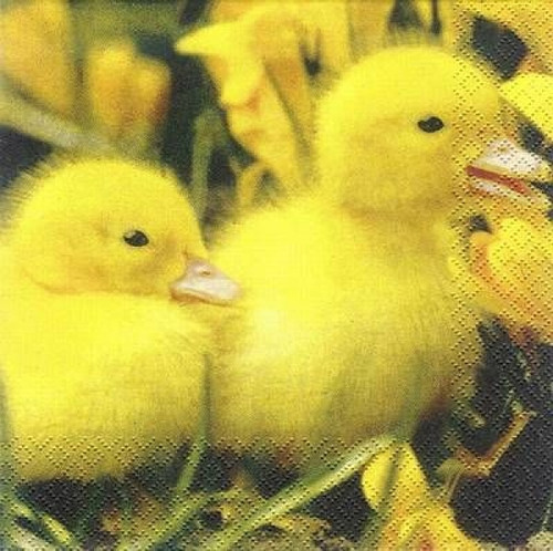 Two fluffy Ducklings brilliant colors Paper Lunch Napkins by STEWO pack of 20 pcs Two fluffy Ducklings brilliant colors Paper Lunch Napkins by STEWO pack of 20 pcs