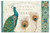 Peacock Paper Placemats set of 24