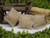 Set of 3 miniature realistic Burlap Sacks for Fairy and Mini Gardens