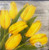 Yellow Tulips pack of 20 Paper Napkins 3 ply