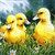 A sweet Trio of Ducklings pack of 20 pcs Paper Lunch Napkins A sweet Trio of Ducklings pack of 20 pcs Paper Lunch Napkins