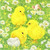Baby Chicks in field of Flowers, pack of 20 Lunch sized Napkins Baby Chicks in field of Flowers, pack of 20 Lunch sized Napkins
