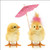 Super cute Chicks with pink Umbrella Lunch Napkins 20 pcs Super cute Chicks with pink Umbrella Lunch Napkins 20 pcs