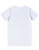 TS41 PREMIUM COTTON TEE SHIRT Mens