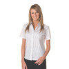 DNC Ladies Stretch Yarn Dyed Contrast Stripe Sh irts -Short Sleeve 4233