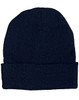 CH61 Roll Up Rpet Knit Beanie