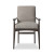 Abida Dining Armchair-Alcala Nickel