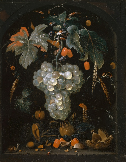 Still-Life With Grapes And Fruits In A Niche by Abraham Mignon Art Print Download