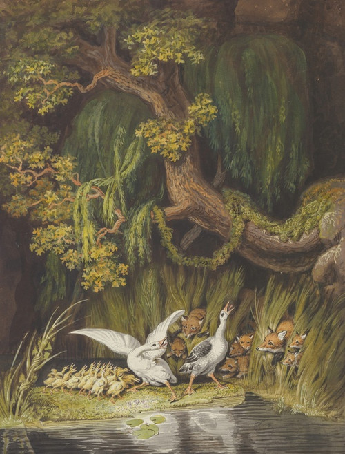 A Goose and a Gander with their Goslings Honking in Alarm as Two Foxes with their Cubs Emerge from the Rushes (mid-18thearly 19th century) by Johann Heinrich Wilhelm Tischbein Art Print Download
