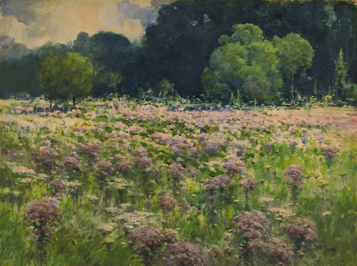 Field Of Joe Pie Weeds (Pride Of The Meadow) by William Henry Holmes Art Print Download