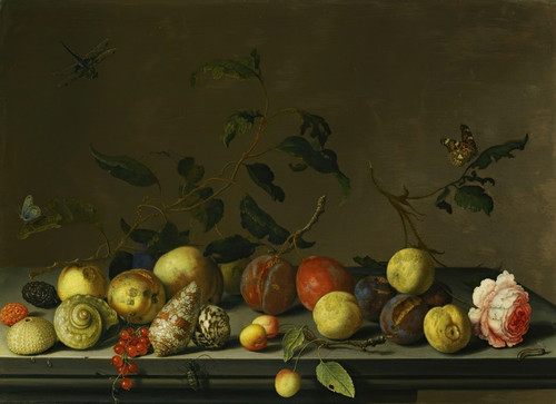 A Still Life Of Fruit And Shells With A Rose And Various Insects Upon A Stone Ledge by Balthasar van der Ast Art Print Download