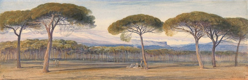 Digital Print - A View of the Pine Woods Above Cannes by Edward Lear