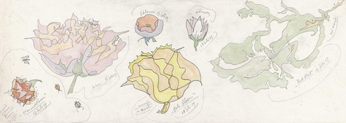 Digital Print - Ontwerp voor aardewerkdecoratie; granaatbloem, pioen, gele bloem en rotblad by Theo Colenbrander