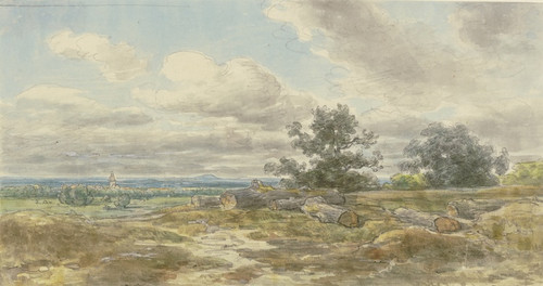 Digital Print - Aussicht ber eine Ebene, im Vordergrund umherliegende abgesgte Baumstmme by Anton Burger