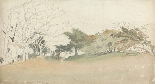 Digital Print - Trees near Hastings by Joshua Cristall
