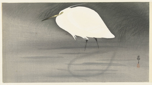Digital Print - Egret. by Ohara Koson