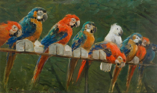 Digital Print - Pappagalli by Alceste Campriani