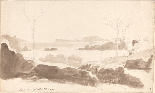 Digital Print - View of the Islands of Nisida and Capri by Friedrich Salath