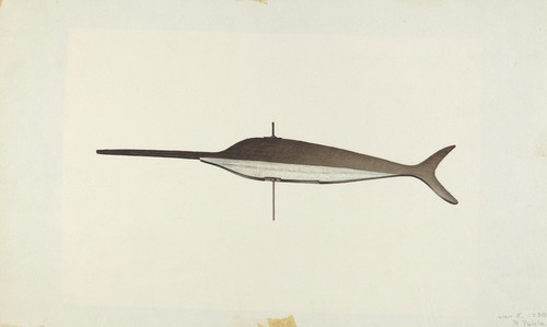 Digital Print - Swordfish Weather Vane by Robert Pohle