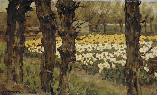 Digital Print - Tulip Fields by Anton L. Koster