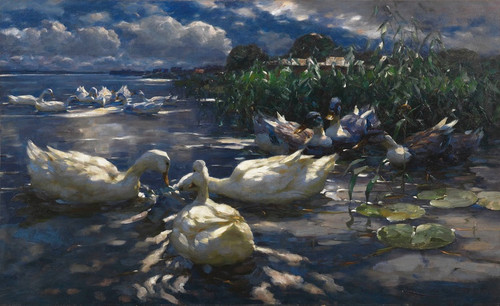 Digital Print - Enten, Reichenau by Alexander Koester