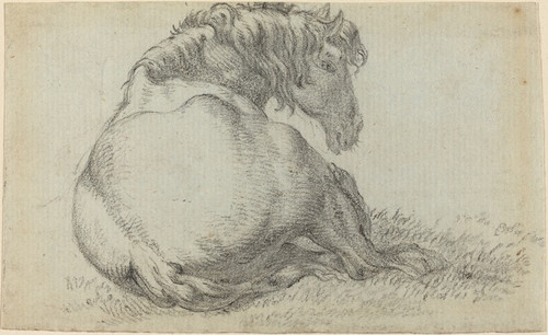 Digital Print - Resting Horse by Paulus Potter