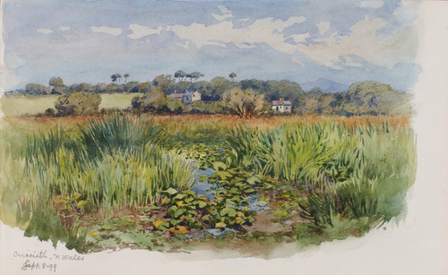 Digital Print - Criccieth, N Wales by George Elbert Burr Digital Print - Criccieth, N Wales by George Elbert Burr