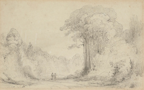 Digital Print - Entrance to Totara Grove, Upper Hutt by William Swainson