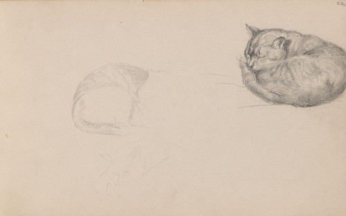 Digital Print - Studies of a sleeping cat by Adolph Tidemand