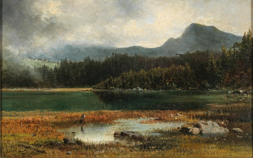 Digital Print - Fischreiher am Bergsee by Emilie Mediz-Pelikan