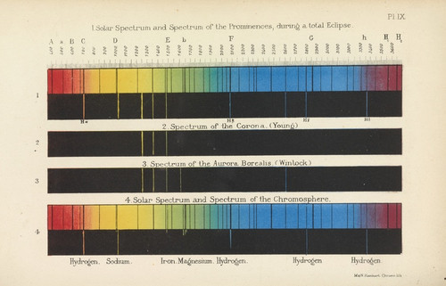Digital Print - Solar Spectra of Prominences, Corona, Aurora Borealis, and Chromosphere by Heinrich Schellen