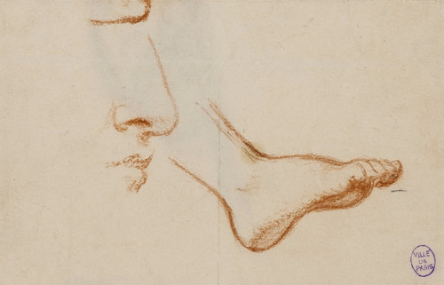 Digital Print - Etude d'un pied droit, et du profil d'un nez et d'une bouche by Narcisse-Virgile Diaz de La Pea