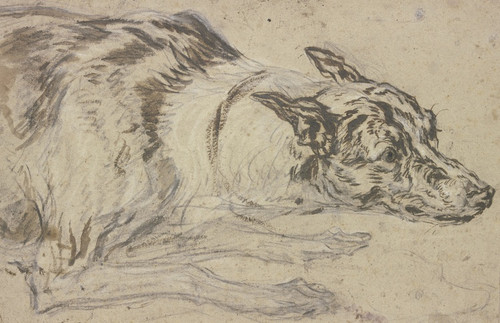 Digital Print - Gefleckter Hundekopf mit Vorderpfoten by Frans Snyders