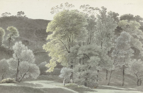 Digital Print - Bomen in de omgeving van Subiaco by Josephus Augustus Knip