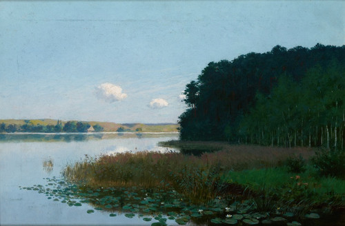 Digital Print - Lake with Water-Lilies by Stanisaw Witkiewicz