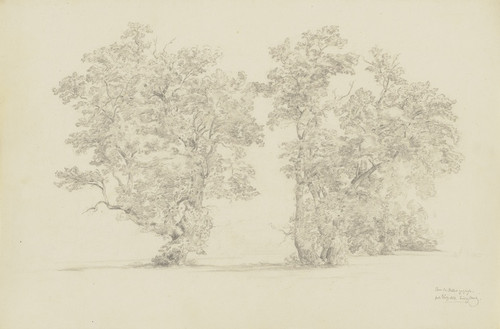 Digital Print - Trees at the Ammer by Ludwig Metz Digital Print - Trees at the Ammer by Ludwig Metz