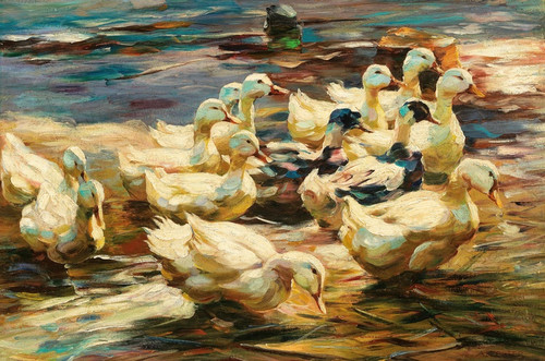 Digital Print - Ducks Getting Out of the Water by Alexander Koester