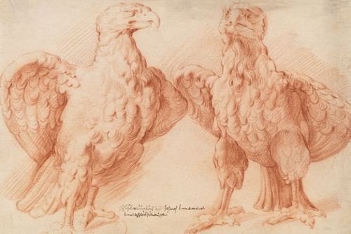 Digital Print - Eagle. Two studies of an antique sculpture; front view half turned to the right, and front view half turned to the left by Willem Panneels