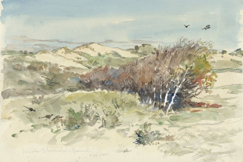 Digital Print - Duinlandschap tussen Bloemendaal en IJmuiden by Jan Hoynck van Papendrecht