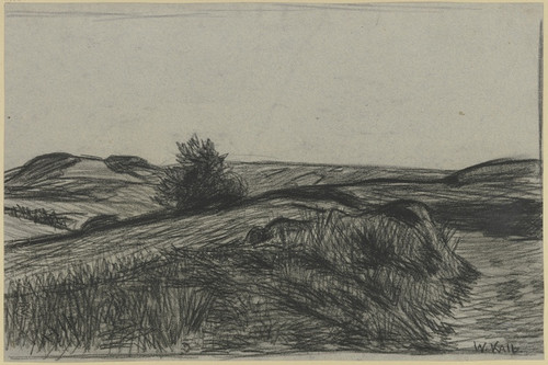 Digital Print - Raised bog by Wilhelm Kalb Digital Print - Raised bog by Wilhelm Kalb