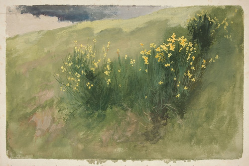 Digital Print - Landscape withwildflowers by Edwin Austin Abbey