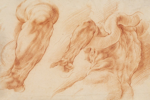 Digital Print - Laocoon. Studies of Laocoon's left arm and of the back of his torso seen from the left and from below by Willem Panneels