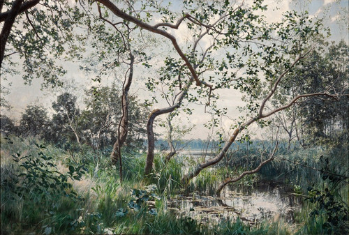 Digital Print - Water Vegetation. Motif from stergtland by Johan Krouthn