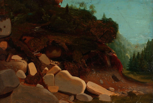 Digital Print - Nature Study with Rocks by August Cappelen
