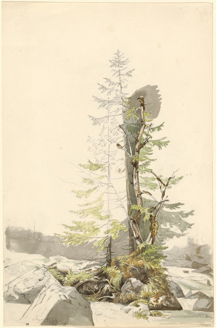 A Clump of Trees by a Rocky Stream in the Ramsau (1832-1833) by Carl Morgenstern Art Print Download