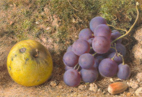 Digital Print - Apple, Grapes and a Cob-Nut by William Henry Hunt