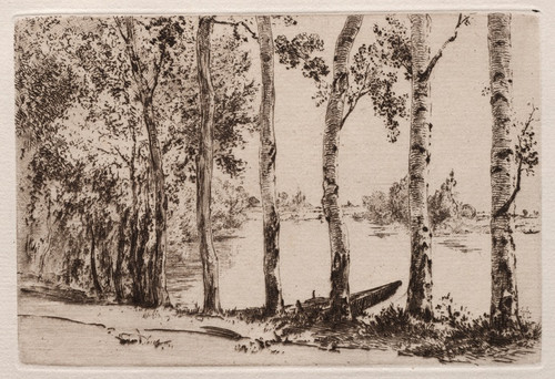 Digital Print - Aspens on the Bank of the Seine by Flix Bracquemond